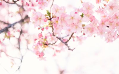 Stress du confinement : comment le comprendre et le gérer